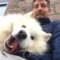 Samoyed Yogi Avatar